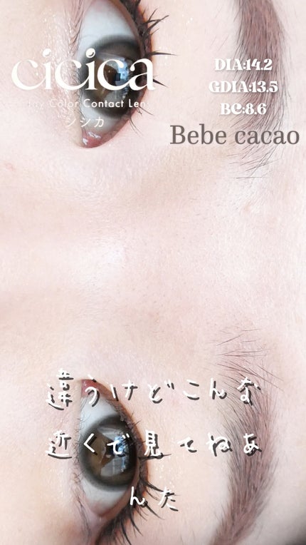 cicica 1day/cicica/ワンデー(1DAY)カラコンの人気ショート動画