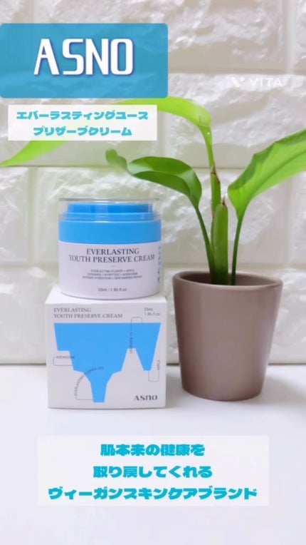 エバーラスティングユースプリザーブクリーム/ASNO/フェイスクリームの人気ショート動画