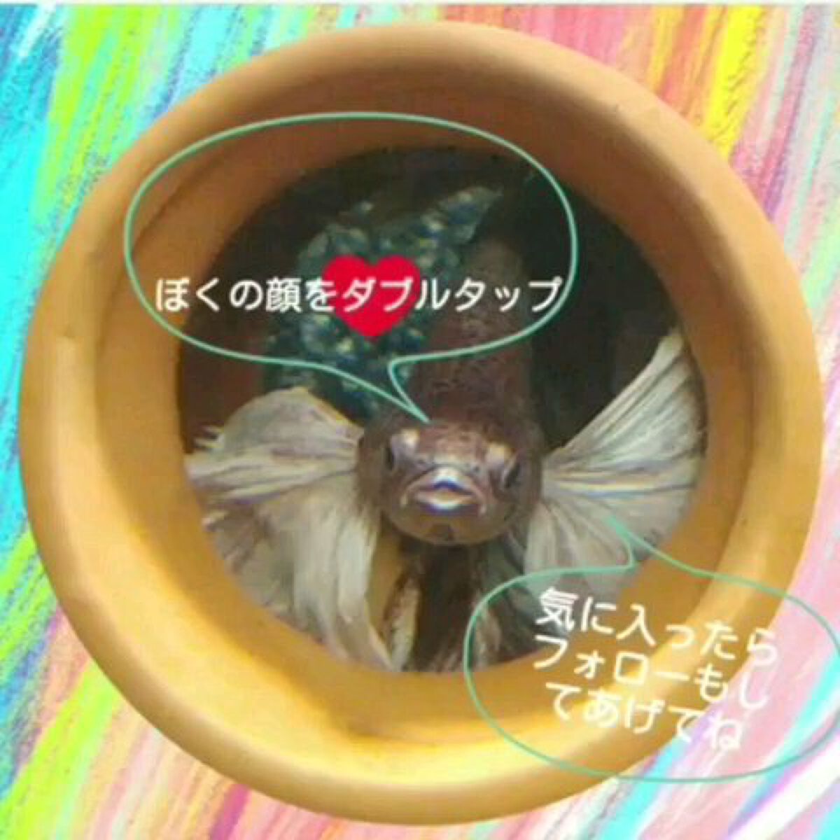 目ざまシート ふっくら和素材のもっちりタイプ/サボリーノ/シートマスク・パックを使ったクチコミ（2枚目）