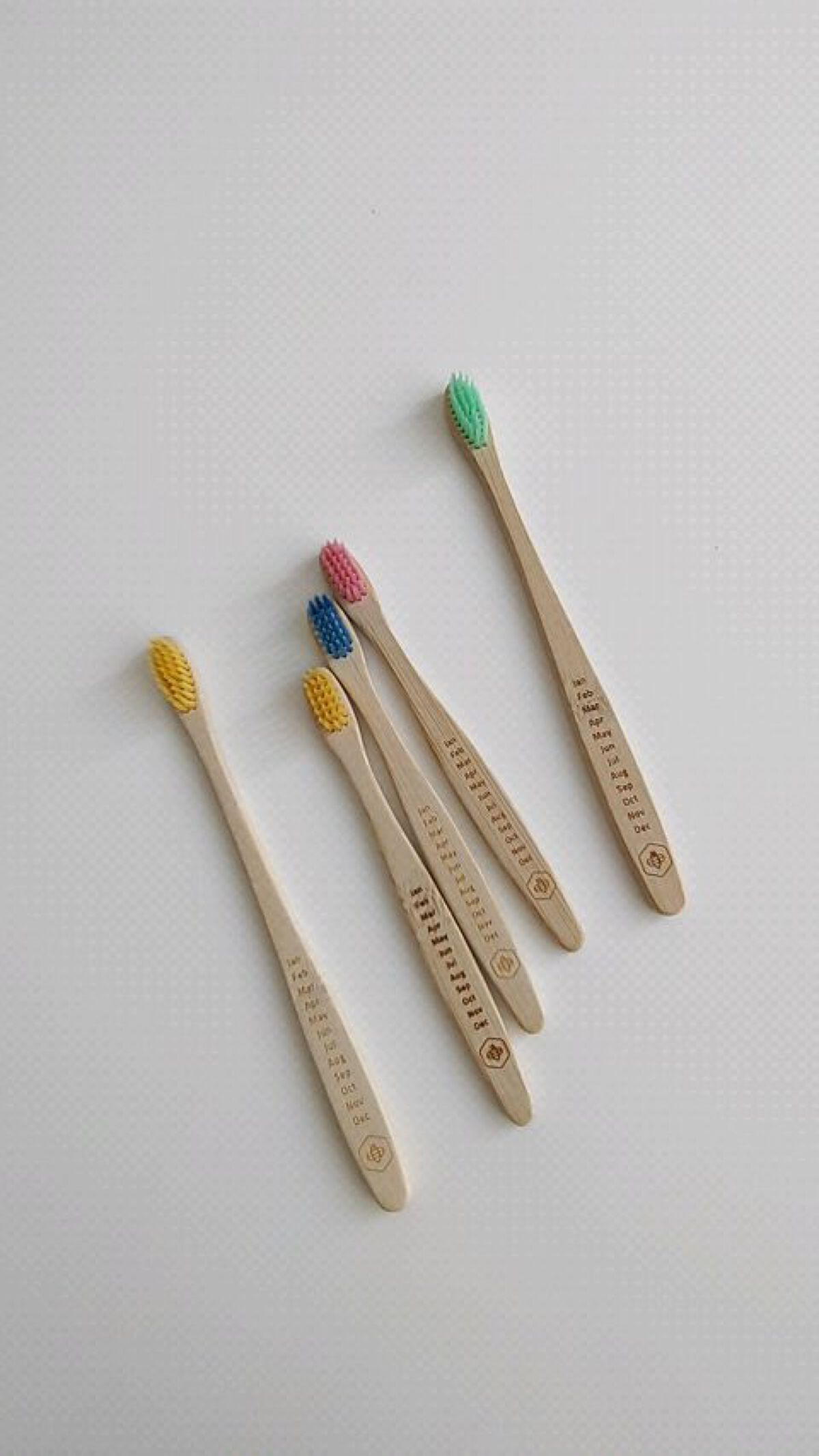 竹歯ブラシ/WannaBee/歯ブラシを使ったクチコミ（1枚目）