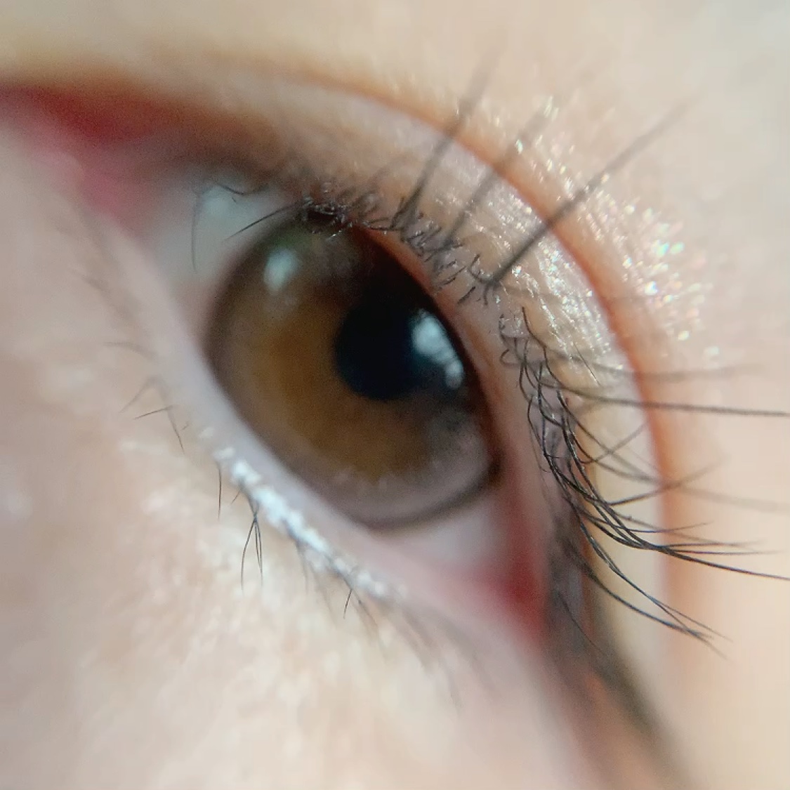 rom'u episode0/rom’u/ワンデー（１DAY）カラコンの動画クチコミ2つ目