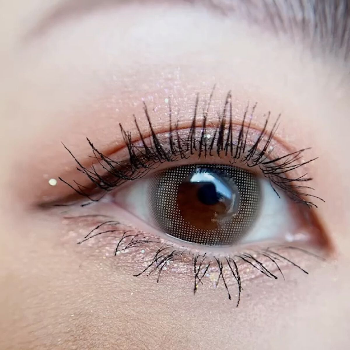 トーリク TOPARDS TORIC (トパーズトーリック) 10枚入（ワンデー / カラコン