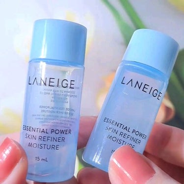 エッセンシャルパワースキン/LANEIGE/化粧水を使ったクチコミ（1枚目）