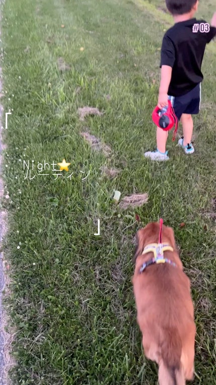 お疲れさマスク アンドブラック/サボリーノ/シートマスク・パックの人気ショート動画