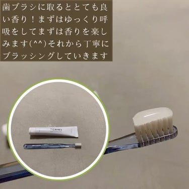 マインドフルトゥースペースト/TENMEI/歯磨き粉を使ったクチコミ（6枚目）