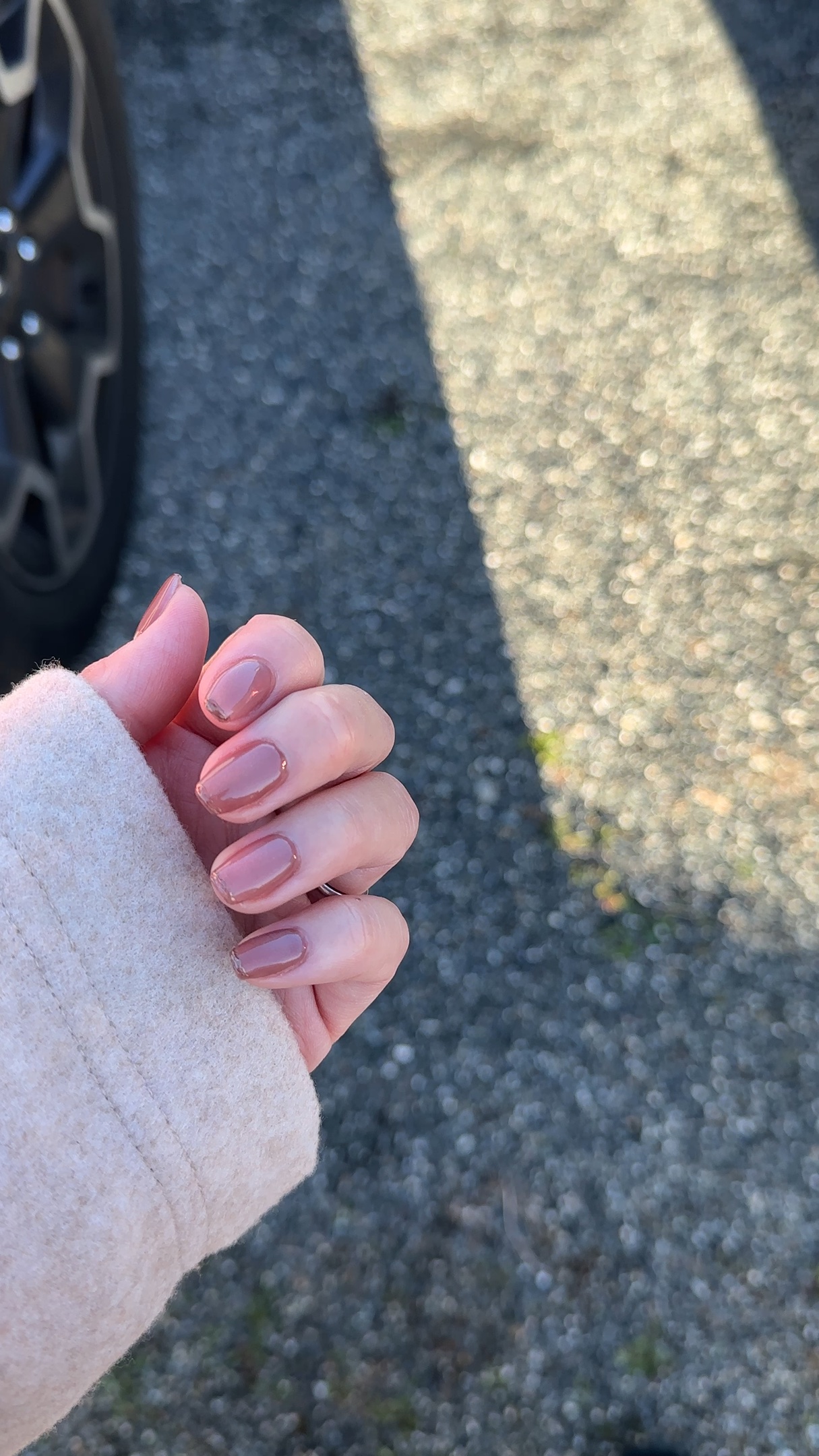 #マグネットネイル,#フラッシュネイル,#トレンドネイル,#秋ネイル,#秋カラーネイル,#秋色ネイル,#ショートネイル,#ママネイル,#ワンカラーネイル,#くすみカラーネイル,#大人かわいいネイル,#上品ネイルのネイルデザイン