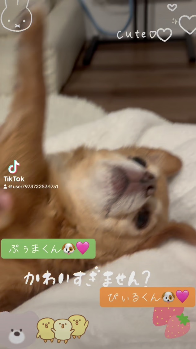 YOハンドクリーム GR /USJ/ハンドクリームの動画クチコミ1つ目