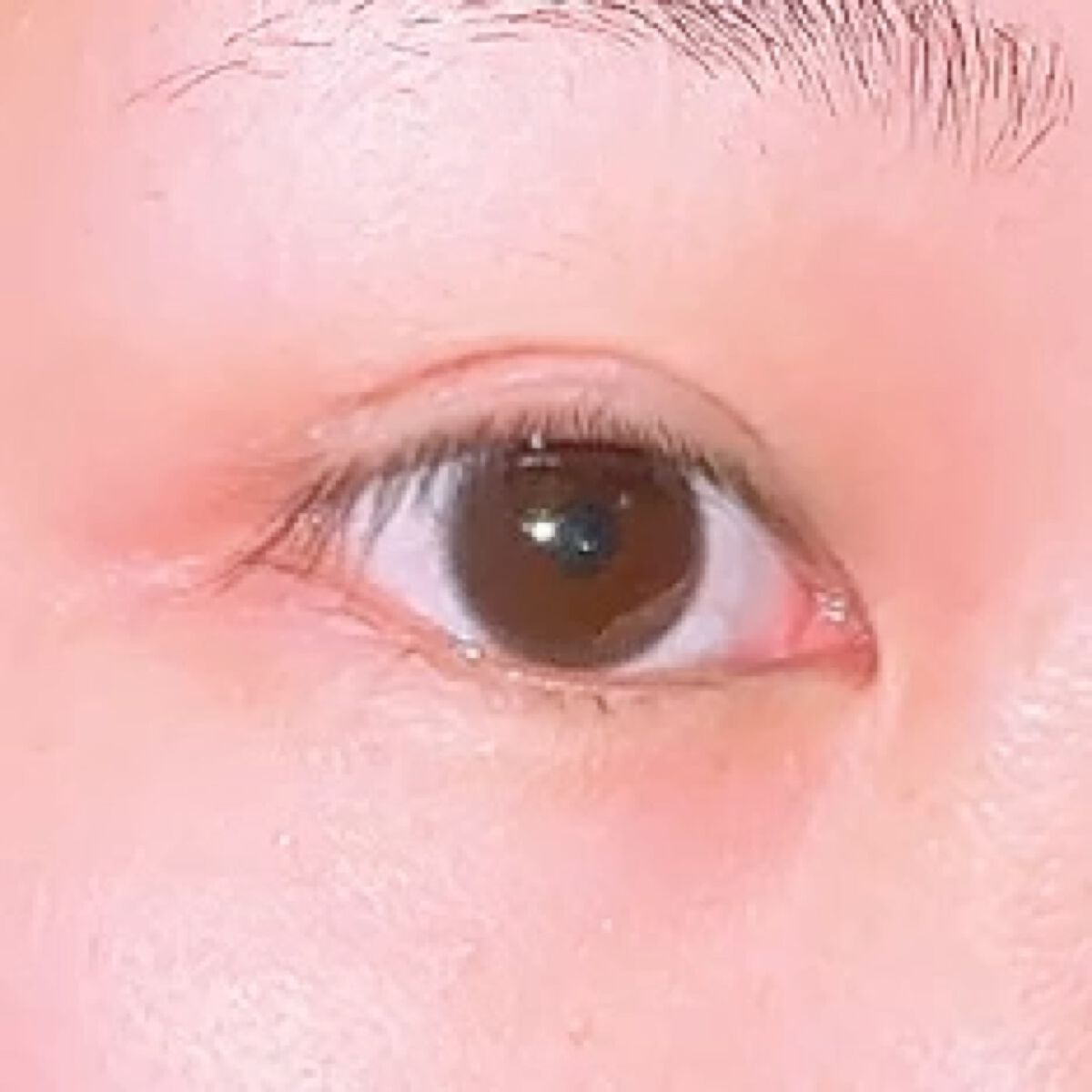 フリーファイバー120<下地&カッター付き>スタンダードタイプ 120本入/メザイク/二重まぶた用アイテムの動画クチコミ2つ目