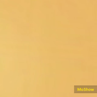 ニャンチャン＆足跡♡柄ネイル ネイルチップ/PUKE NAIL/ネイルチップ・パーツの動画クチコミ3つ目