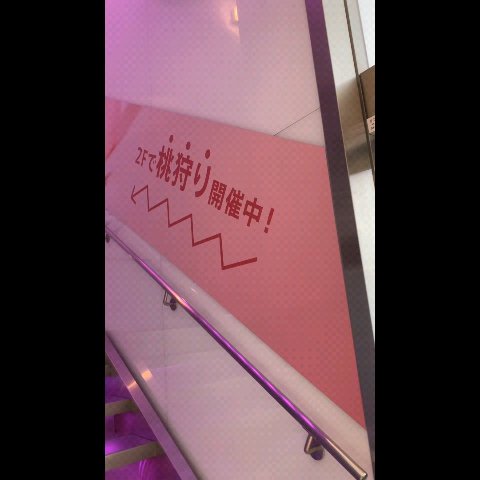 桃77％ナイアシンエッセンストナー 250ml/Anua/化粧水を使ったクチコミ（1枚目）