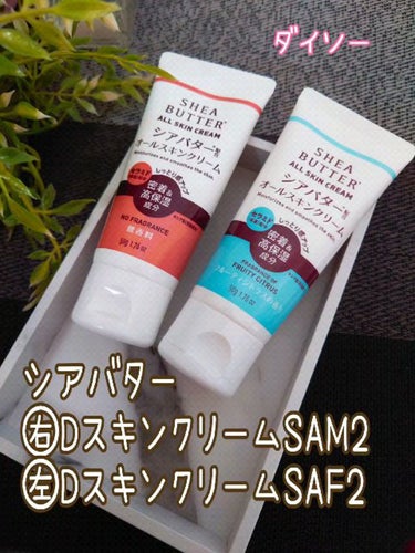 シアバター配合オールスキンクリーム/DAISO/その他スキンケアを使ったクチコミ（1枚目）