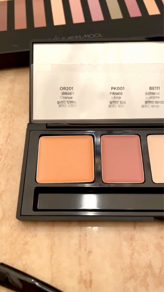 アーティストコンシーラーパレット/JUNG SAEM MOOL/パレットコンシーラーの動画クチコミ2つ目