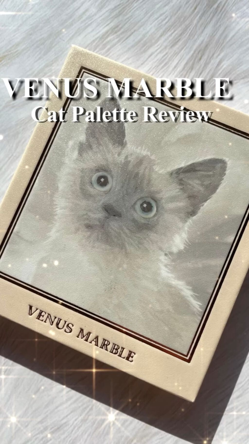 アイシャドウ猫シリーズ/Venus Marble(ヴィーナスマーブル）/パウダーアイシャドウの動画クチコミ5つ目