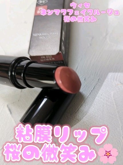 ネンマクフェイク ルージュ/Visée/口紅の人気ショート動画