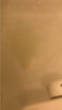 APフェイス&ボディクリーム/ケアセラ/フェイスクリームを使ったクチコミ(4枚目)