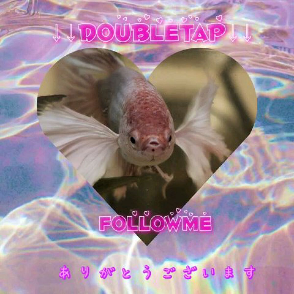 ヘアポイントスティック　ハリーアノヘア/OHANA MAHAALO/その他スタイリングの動画クチコミ1つ目