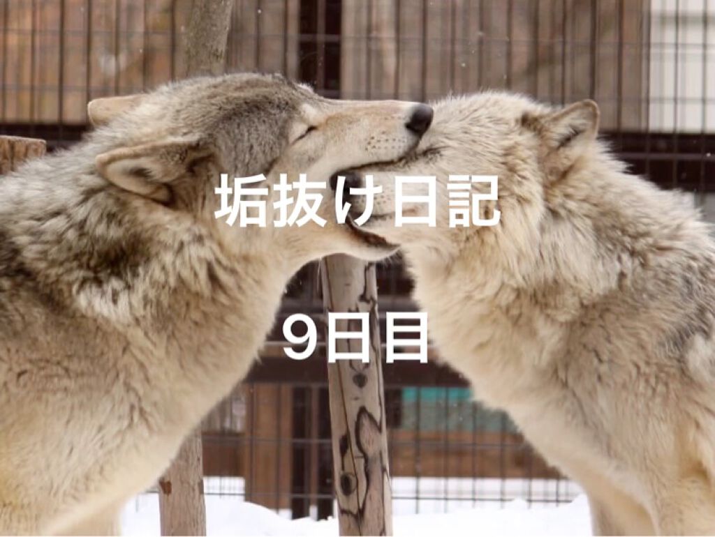 フェイスマスク/THE STEM CELL/シートマスク・パックの動画クチコミ4つ目