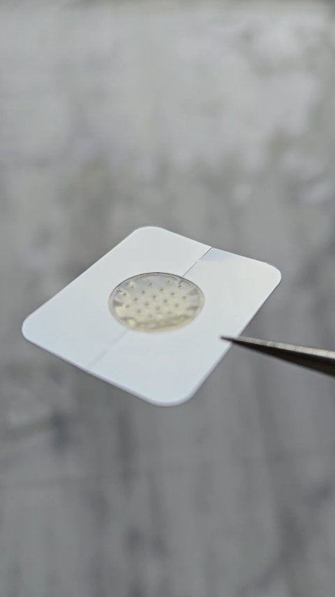 クリニラボ マイクロニードルパッチ ディープ-Hy/大正製薬/シートマスク・パックを使ったクチコミ（3枚目）