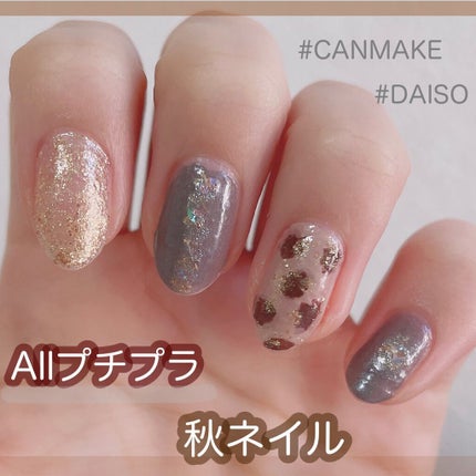 カラフルネイルズ/キャンメイク/マニキュアの人気ショート動画