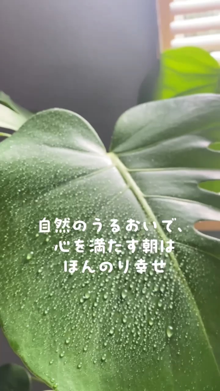 BOTANIST ボタニカルシャンプー／トリートメント(スムース) のクチコミ「自然のうるおいで、髪をやさしく満たす
┈┈┈┈┈┈┈ ❁ ❁ ❁┈┈┈┈┈┈┈┈

BOTAN.....」（1枚目）