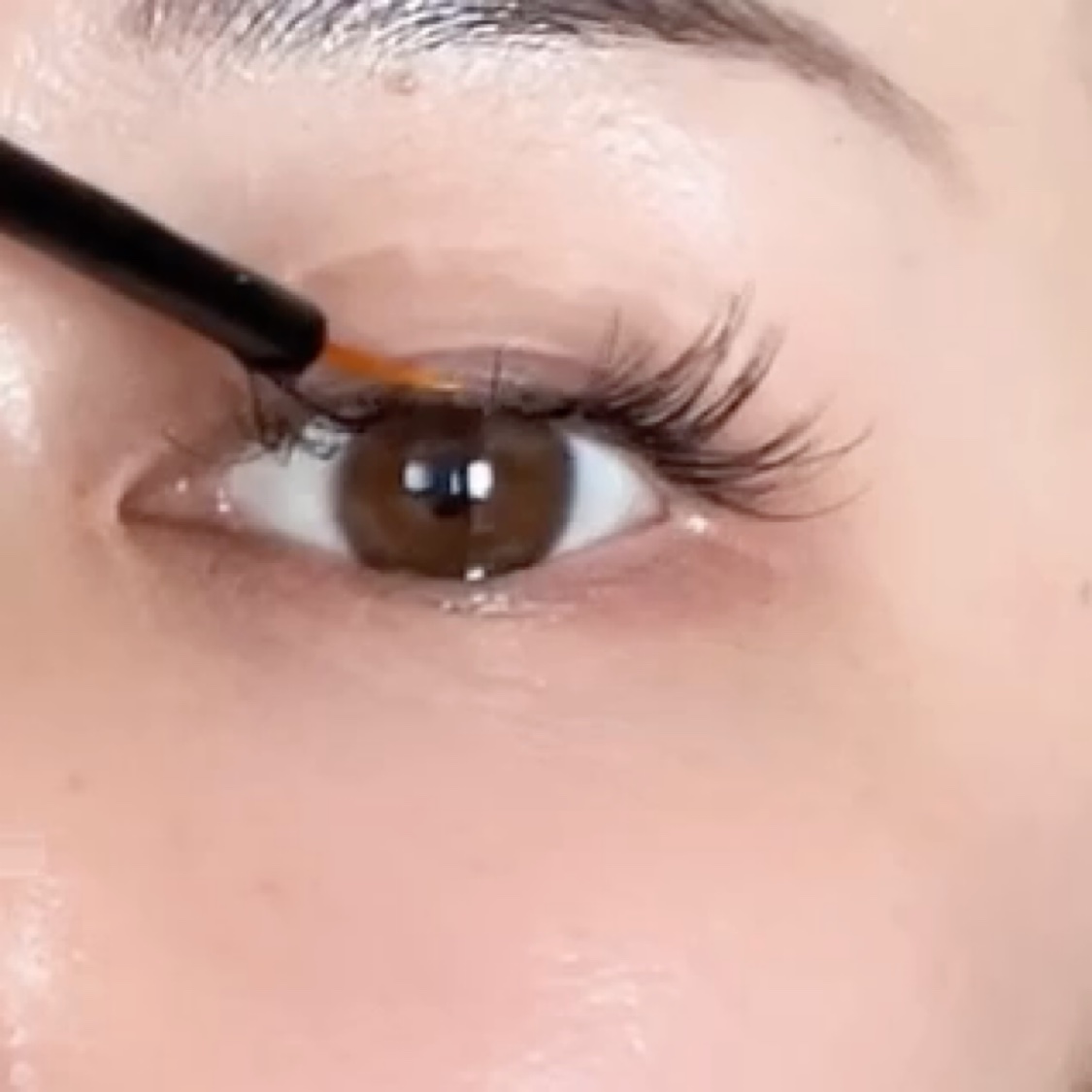 ラッシュアディクト アイラッシュコンディショニングセラム/soaddicted/まつげ美容液を使ったクチコミ（2枚目）