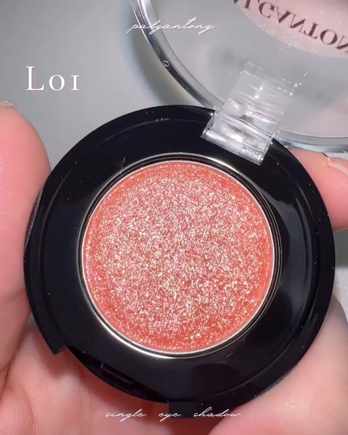 パルガントン アイシャドウ/パルガントン/単色アイシャドウの動画クチコミ1つ目