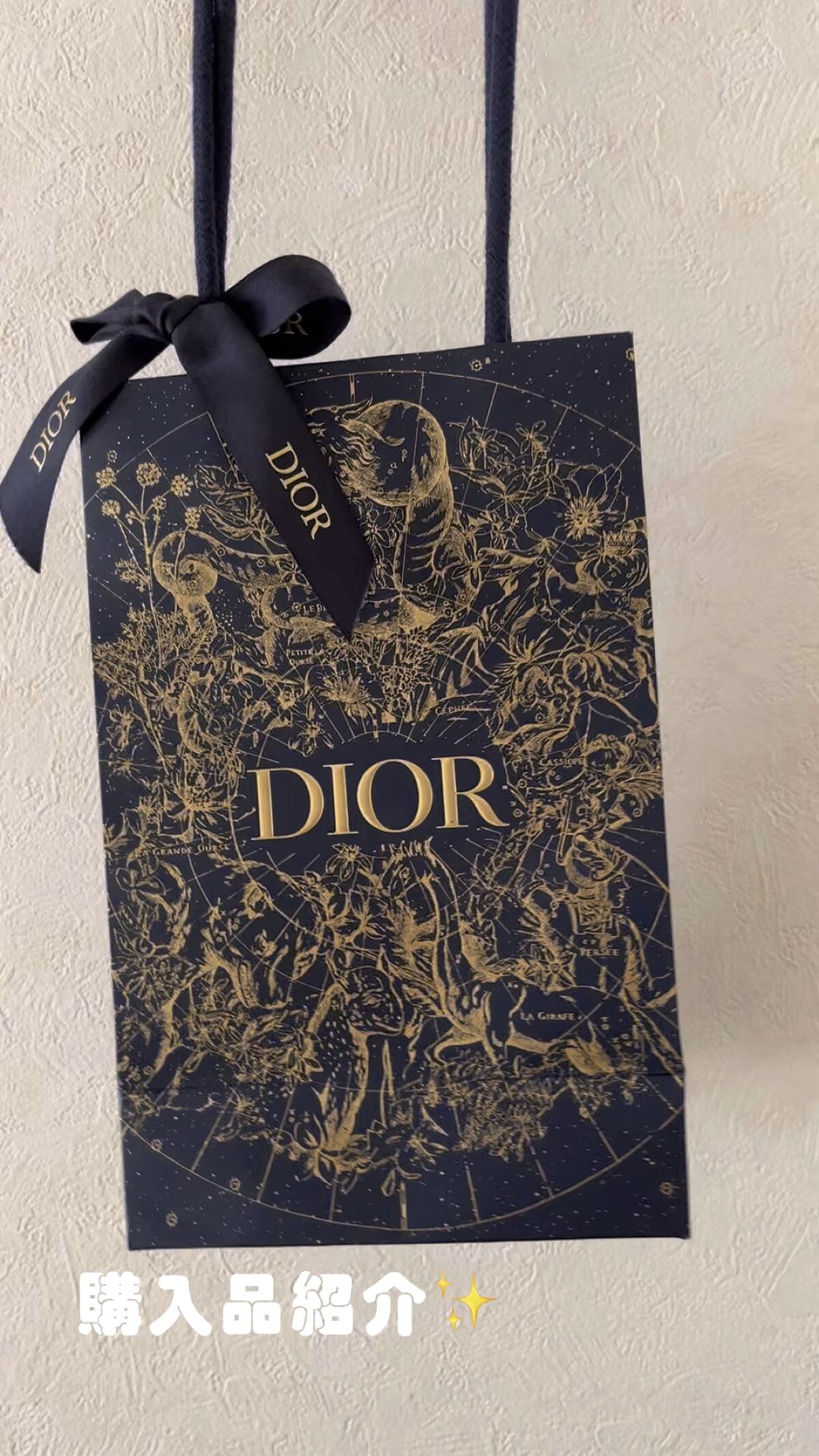 【旧】ディオール アディクト リップ マキシマイザー/Dior/リップグロスを使ったクチコミ（1枚目）