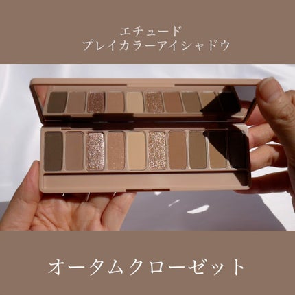 プレイカラー アイシャドウ/ETUDE/アイシャドウパレットを使ったクチコミ(1枚目)