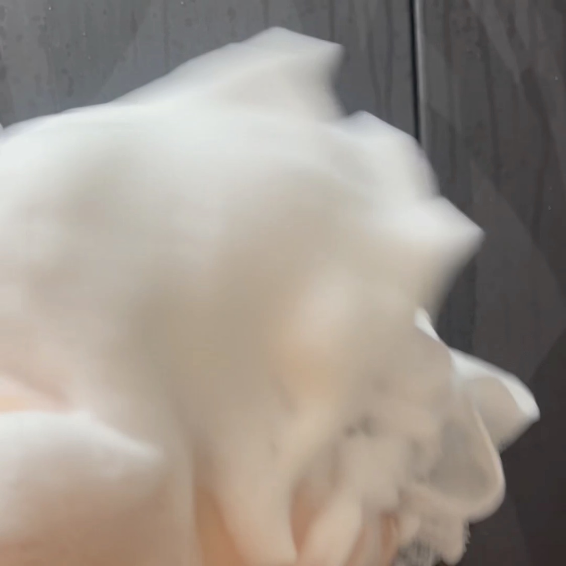 ウォッシュクレンジング r/クレンジングリサーチ/洗顔フォームの動画クチコミ2つ目