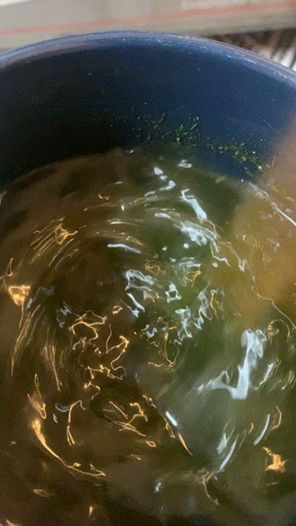 ベジパワープラス/ダイエットドリンク/ドリンクの人気ショート動画