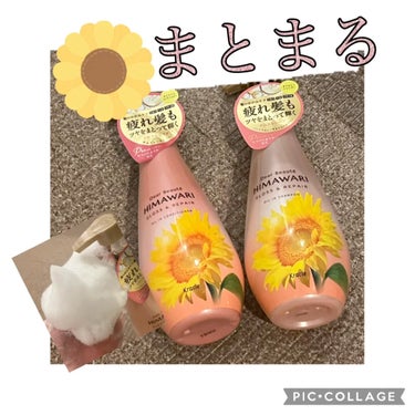 ふわっふわな泡と☁️心地よい香りに包まれる
癒しの空間🌻

【使った商品】
ディアボーテ　
オイルインシャンプー／オイルインコンディショナー
　
【香り】
グロス＆リペア

【テクスチャ】
さらさら系
