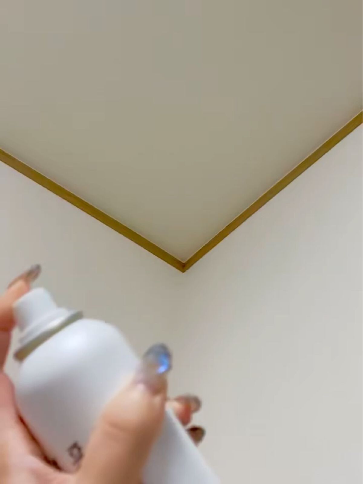 マイクロ純白ミスト化粧水/なめらか本舗/ミスト状化粧水を使ったクチコミ（2枚目）