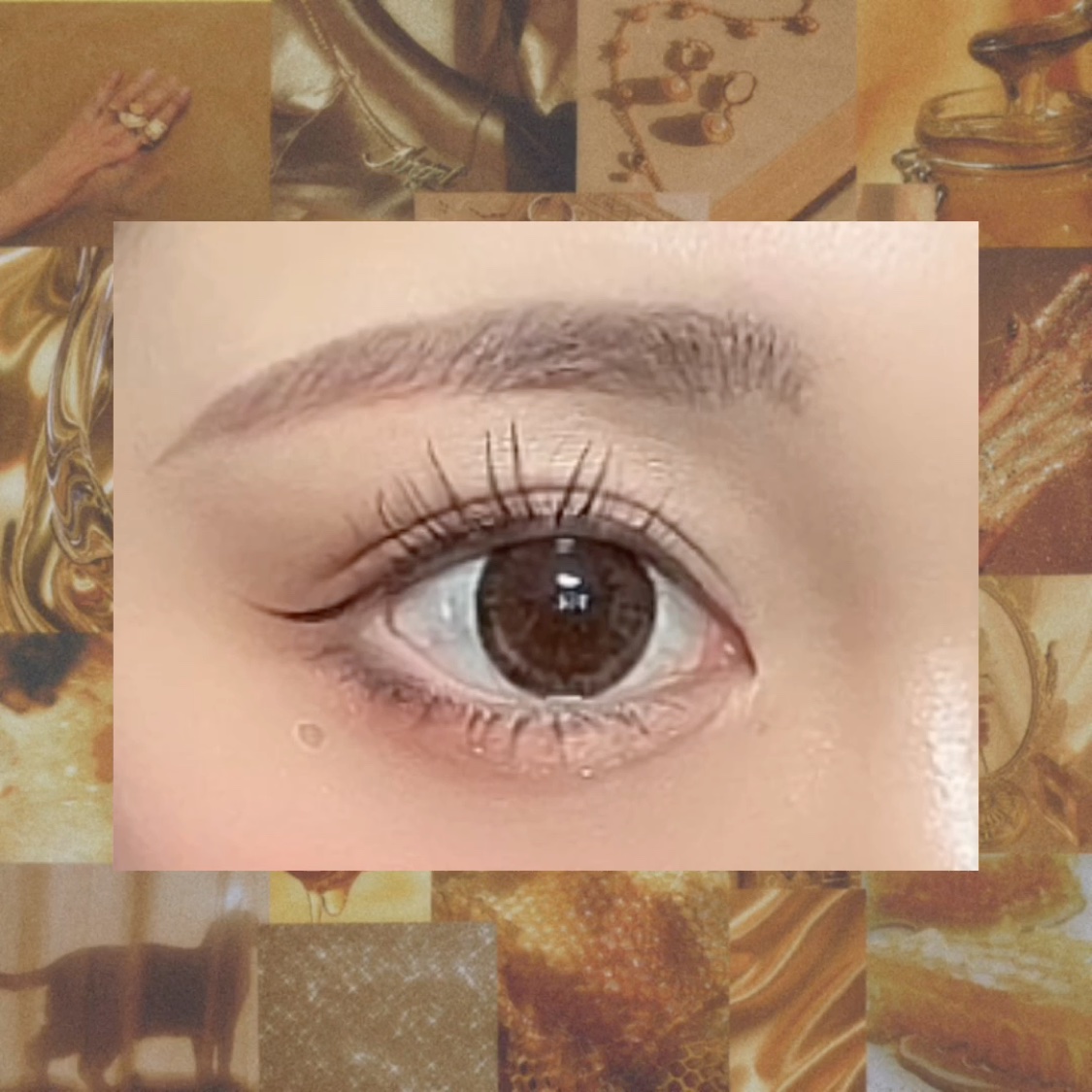 アイカラーパレット/heme/アイシャドウパレットを使ったクチコミ（2枚目）