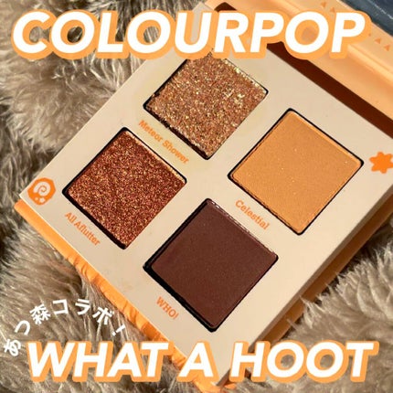 what a hoot/ColourPop/アイシャドウパレットの人気ショート動画