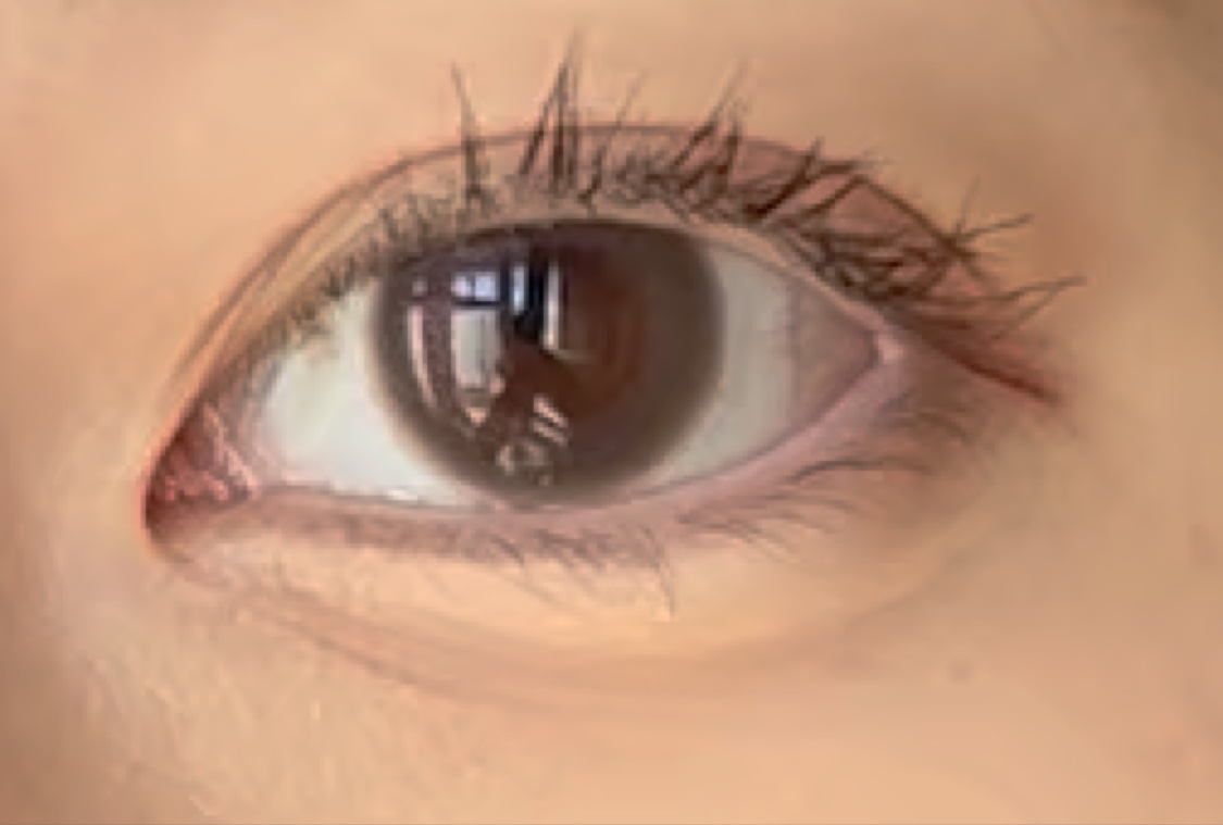 フェアリー ワンデー シマーリングシリーズ/FAIRY/ワンデー（１DAY）カラコンの動画クチコミ5つ目