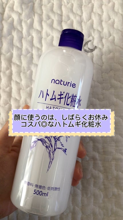 ハトムギ化粧水(ナチュリエ スキンコンディショナー R )/ナチュリエ/化粧水の人気ショート動画