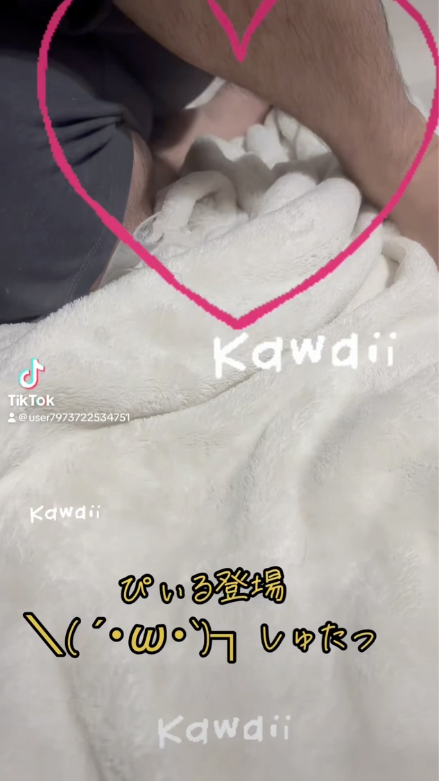 アロマティック ハンド&ボディミルク PURE LINEN/SNIDEL HOME/ボディミルクの動画クチコミ1つ目