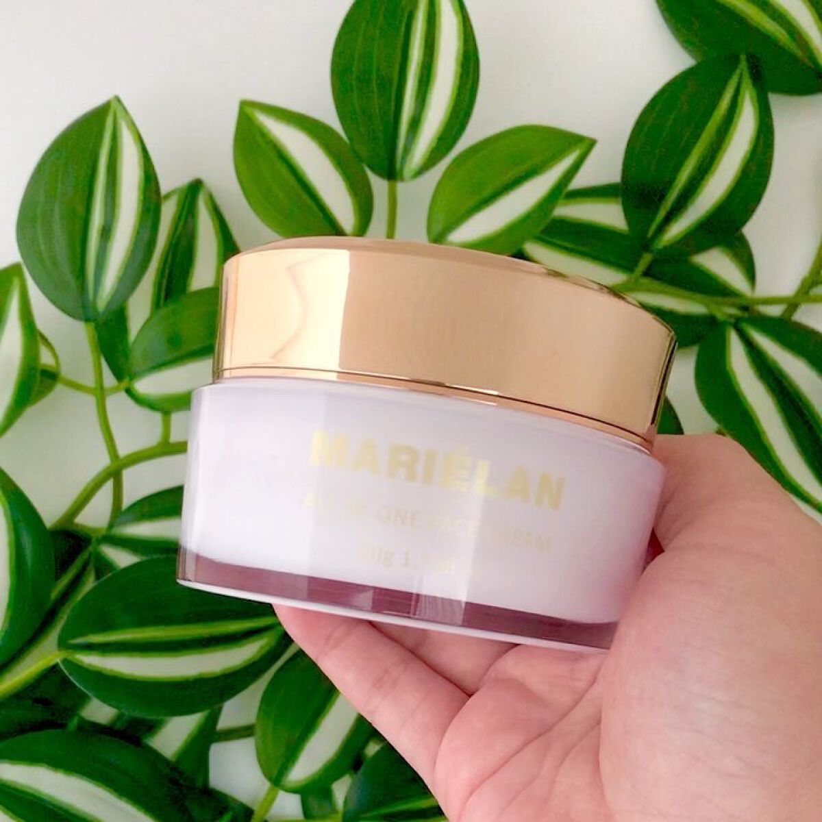 オールインワン フェイスクリーム /MARIÉLAN/オールインワン化粧品を使ったクチコミ（2枚目）