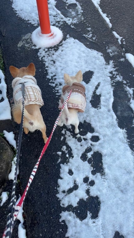 Cooling Water Jelly Tint リップ&チーク/Milk MAKEUP/口紅を使ったクチコミ(7枚目)