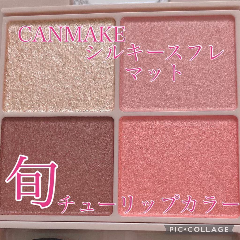 シルキースフレアイズ（マットタイプ）/キャンメイク/アイシャドウパレットを使ったクチコミ（1枚目）