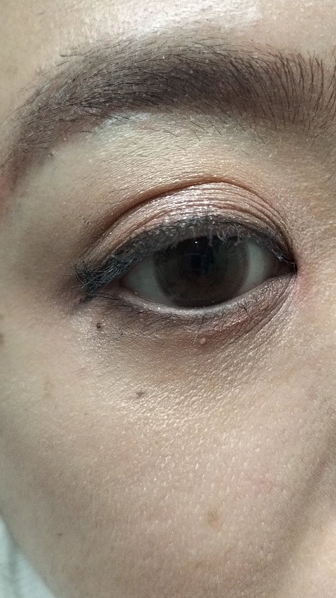 オールデイ ロング アンド カール マスカラ/Milk Touch/マスカラの動画クチコミ1つ目