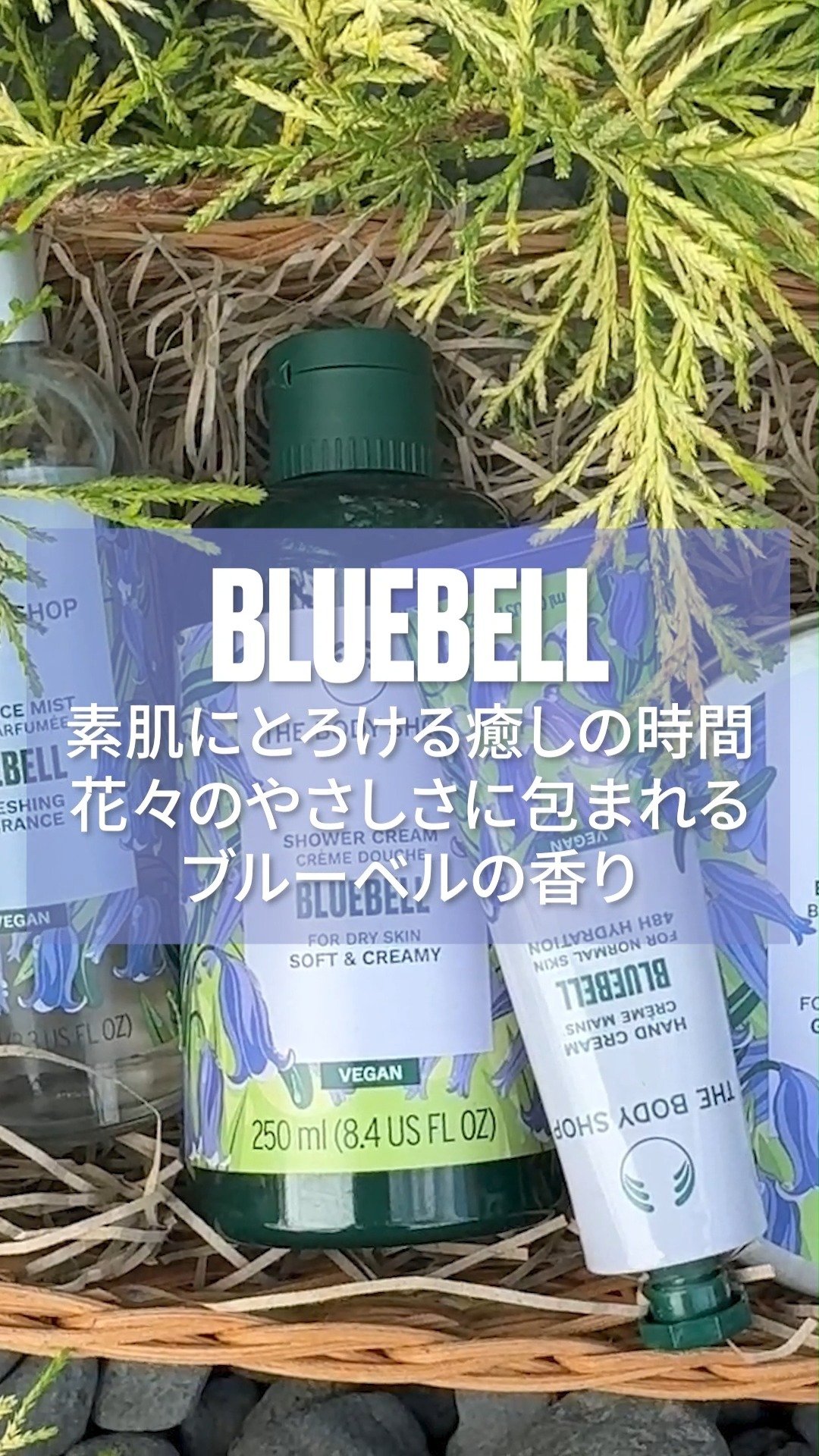 ボディミスト BB/THE BODY SHOP/香水(その他)を使ったクチコミ（1枚目）