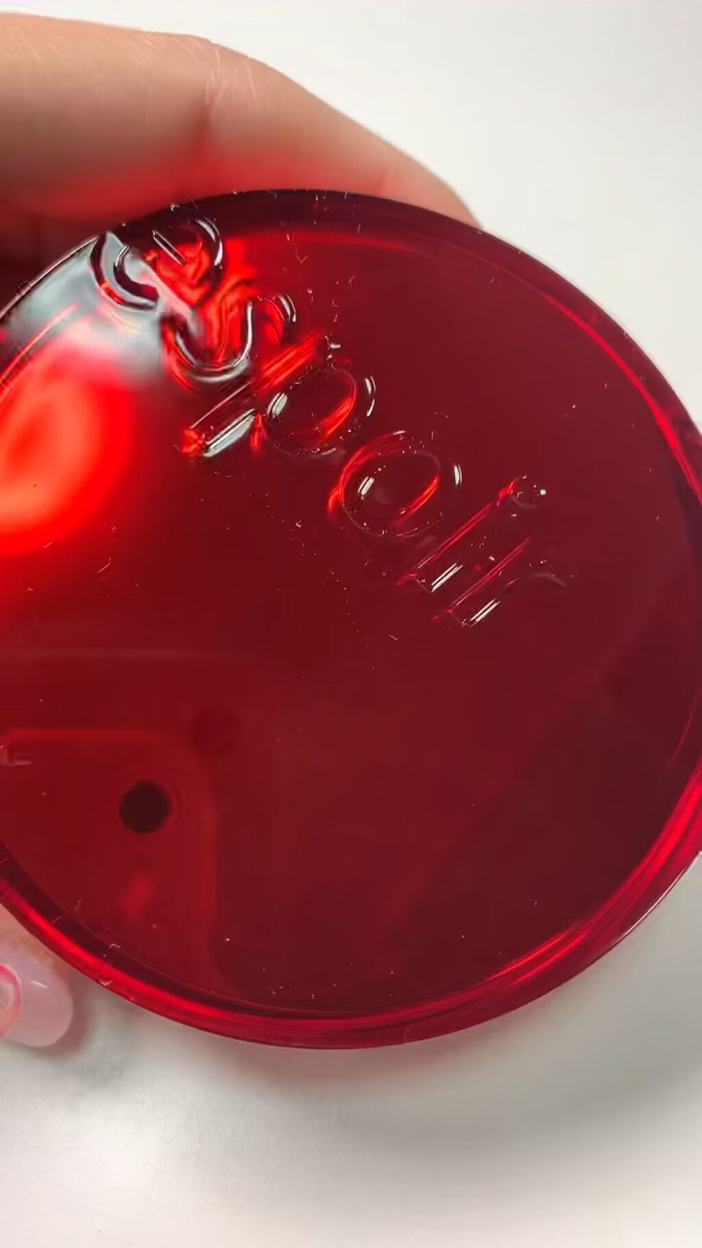 プロテーラービーベルベットカバークッション/espoir/クッションファンデーションの人気ショート動画