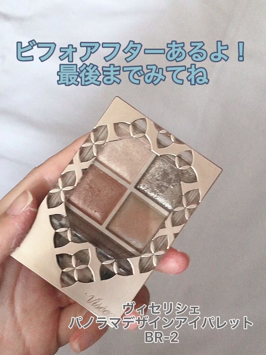 パノラマデザイン アイパレット/Visée/アイシャドウパレットを使ったクチコミ（1枚目）