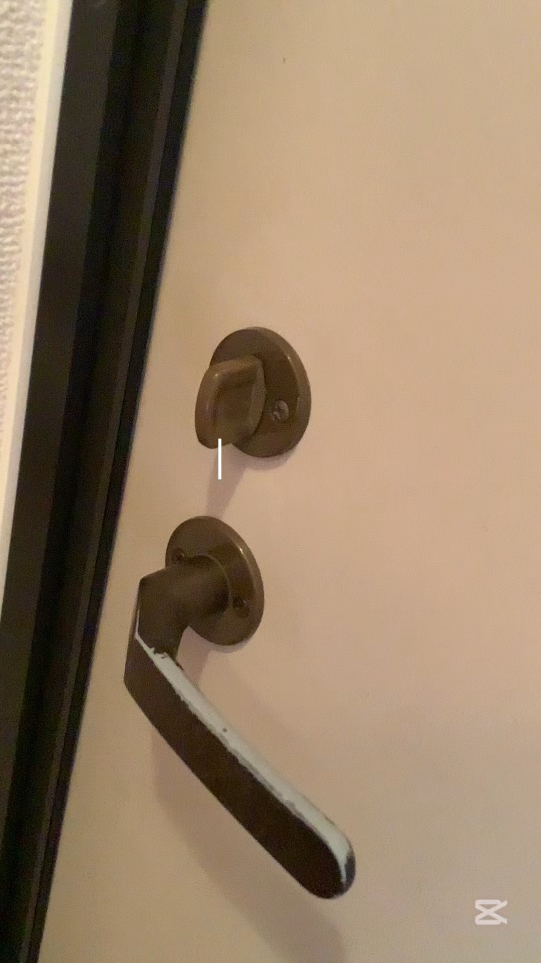 スキンアクア トーンアップUVエッセンス/スキンアクア/日焼け止めクリームを使ったクチコミ（1枚目）