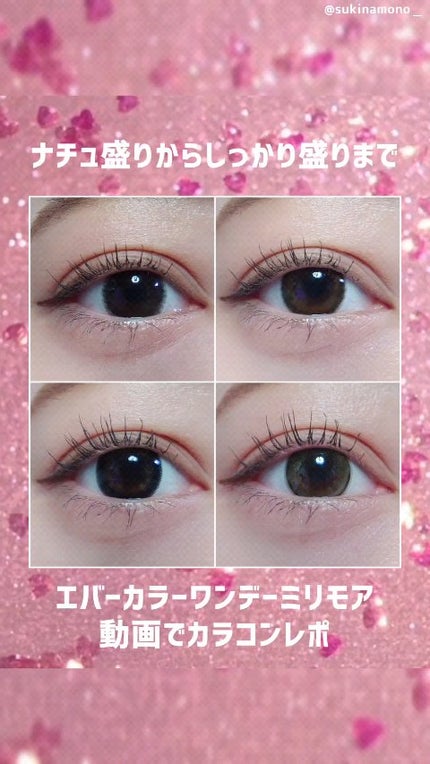 エバーカラーワンデーミリモア/エバーカラー/ワンデー(1DAY)カラコンの人気ショート動画