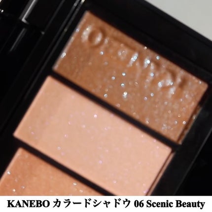 カラードシャドウ/KANEBO/アイシャドウパレットを使ったクチコミ(2枚目)