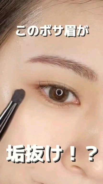 ノーズ&アイブロウパウダー/CEZANNE/パウダーアイブロウの人気ショート動画