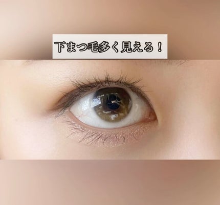 「塗るつけまつげ」自まつげ際立てタイプ/デジャヴュ/マスカラの人気ショート動画