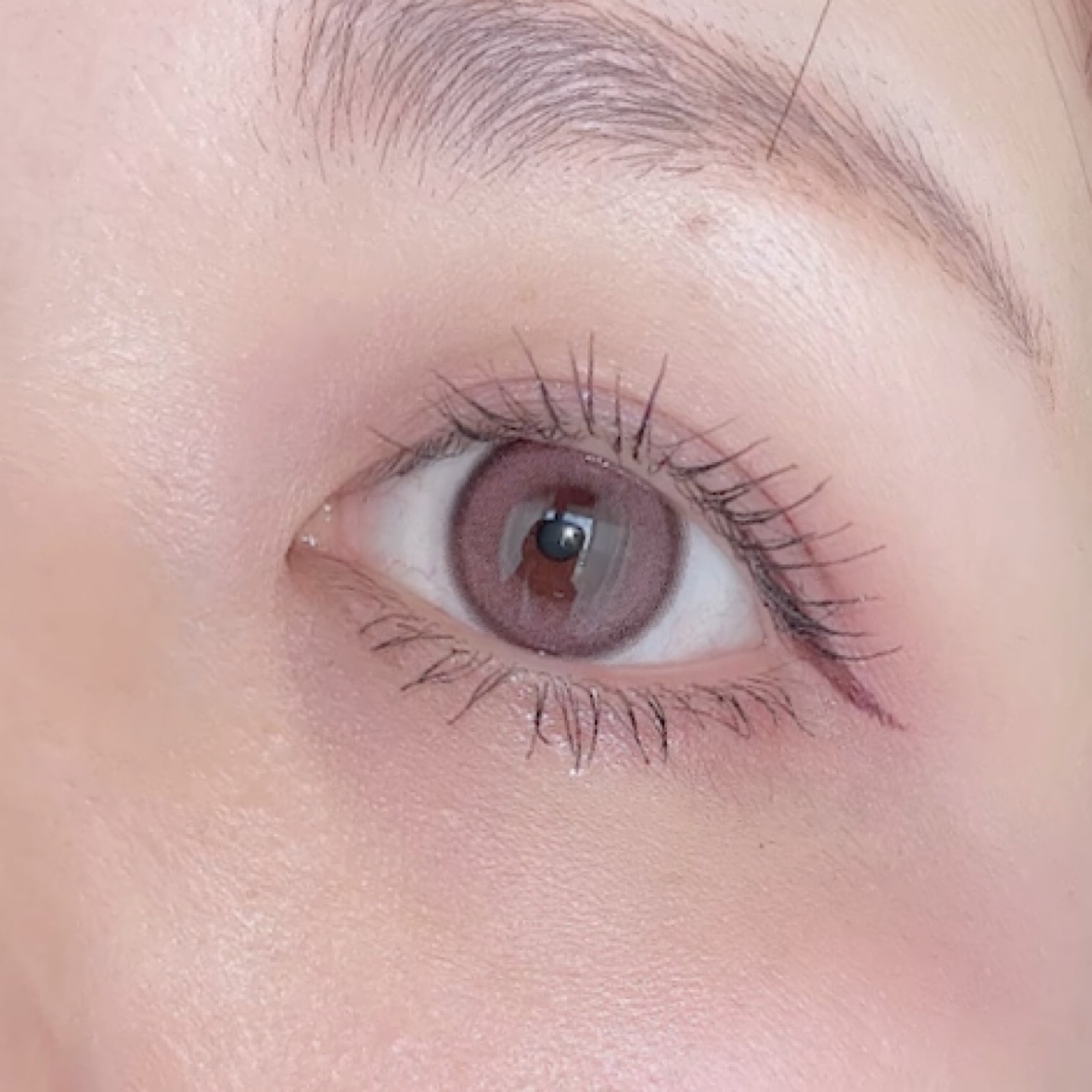 3CE ブラッシュライター/3CE/パウダーチークの動画クチコミ4つ目